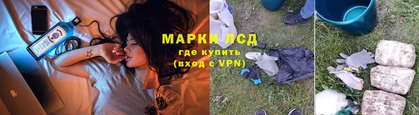 прущие грибы Абдулино